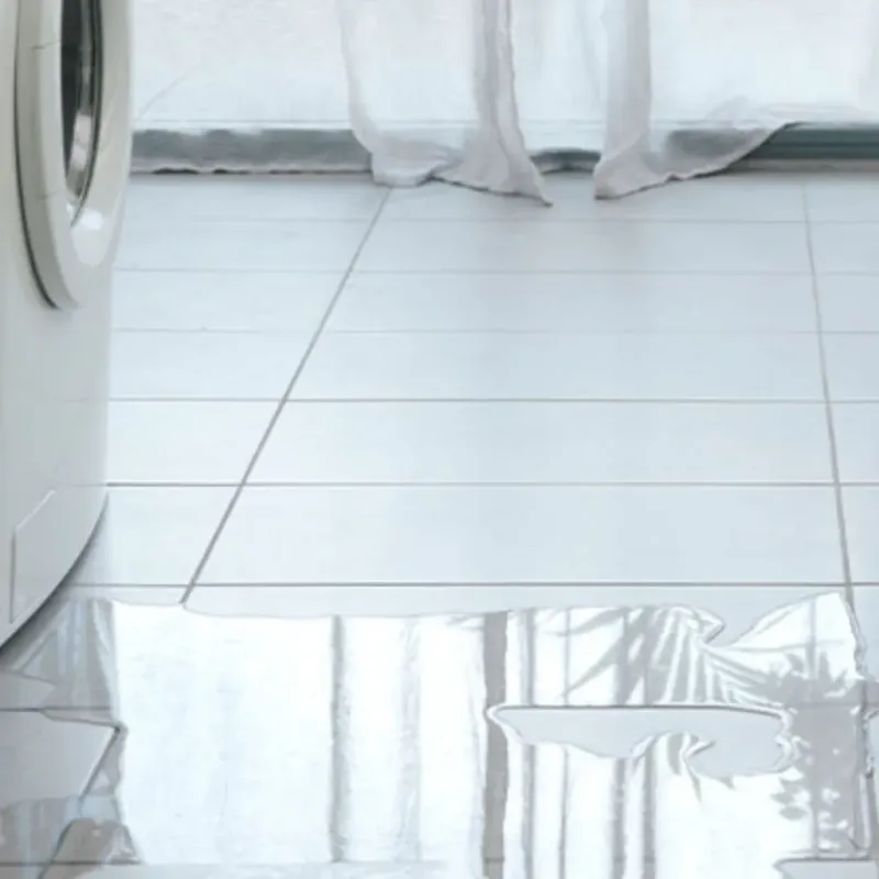 Appliance Leak Cleanup in Rogersville, MO